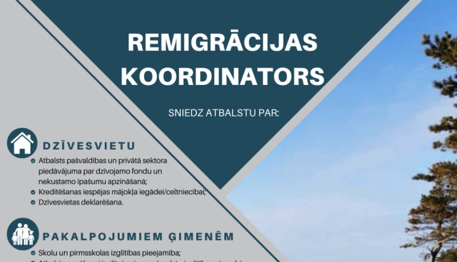 Infografika skaidro, kādu atbalstu sniedz remigrācijas koordinators dzīvesvietas, ģimenes pakalpojumu, darba, uzņēmējdarbības un sociālajos jautājumos